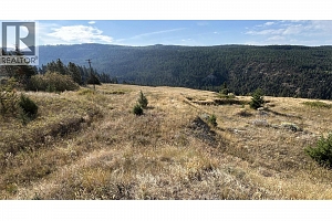Lot 1 Hwy 33 Highway E - Photo 2