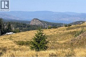 Lot 1 Hwy 33 Highway E - Photo 2