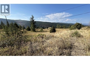 Lot 1 Hwy 33 Highway E - Photo 20