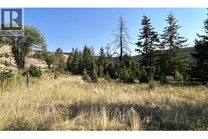 Lot 1 Hwy 33 Highway E - Photo 20