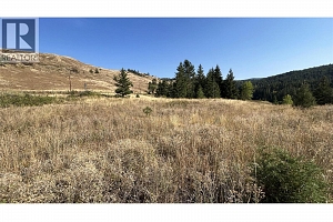 Lot 1 Hwy 33 Highway E - Photo 21