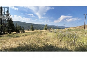 Lot 1 Hwy 33 Highway E - Photo 22