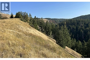 Lot 1 Hwy 33 Highway E - Photo 23