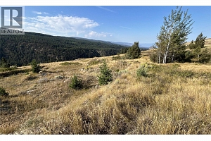 Lot 1 Hwy 33 Highway E - Photo 23