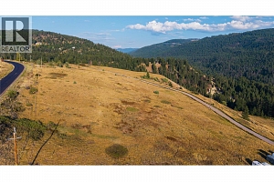 Lot 1 Hwy 33 Highway E - Photo 29
