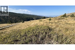 Lot 1 Hwy 33 Highway E - Photo 3