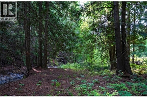 Lot 1 Hwy 33 Highway E - Photo 31