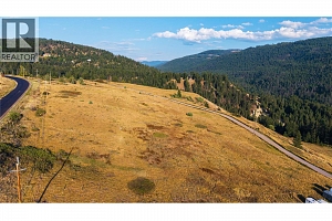 Lot 1 Hwy 33 Highway E - Photo 31