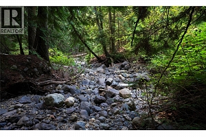 Lot 1 Hwy 33 Highway E - Photo 33