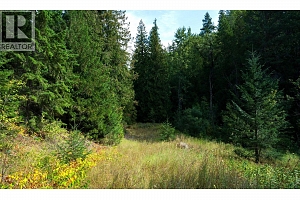 Lot 1 Hwy 33 Highway E - Photo 34