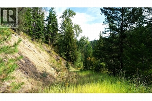 Lot 1 Hwy 33 Highway E - Photo 35