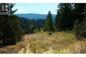 Lot 1 Hwy 33 Highway E - Photo 36