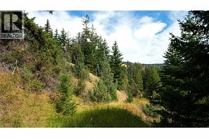Lot 1 Hwy 33 Highway E - Photo 37