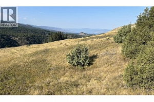 Lot 1 Hwy 33 Highway E - Photo 4