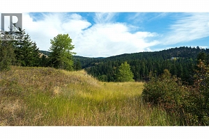 Lot 1 Hwy 33 Highway E - Photo 41