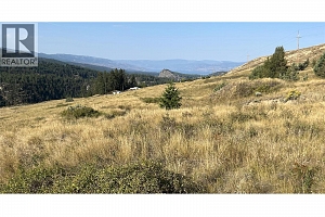 Lot 1 Hwy 33 Highway E - Photo 7