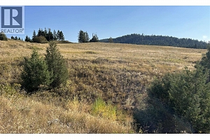 Lot 1 Hwy 33 Highway E - Photo 7