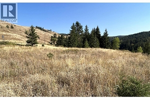 Lot 1 Hwy 33 Highway E - Photo 8