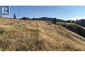 Lot 1 Hwy 33 Highway E - Photo 8