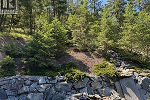 1820 Olympus Way - Photo 20