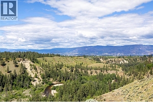 3800 Gallaghers Pinnacle Way Unit# 14 - Photo 51