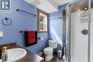 5890 Snow Pines Crescent - Photo 13