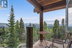 5890 Snow Pines Crescent - Photo 20