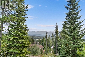 5890 Snow Pines Crescent - Photo 21