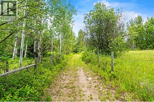8215 Silver Star Road - Photo 49