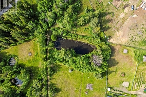 8215 Silver Star Road - Photo 50