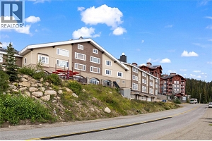 5275 Big White Road Unit# 301 - Photo 17