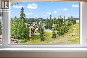 5275 Big White Road Unit# 301 - Photo 3