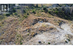 875 Bear Creek Road - Photo 10