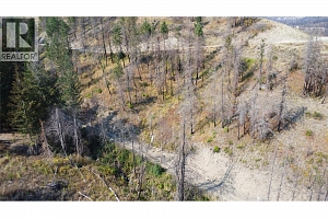 875 Bear Creek Road - Photo 11