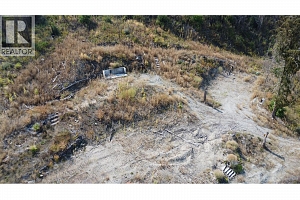 875 Bear Creek Road - Photo 4
