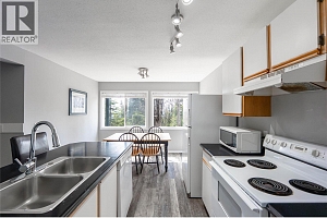 4817 Snowpines Road Unit# C - Photo 10