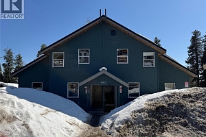 4817 Snowpines Road Unit# C - Photo 3