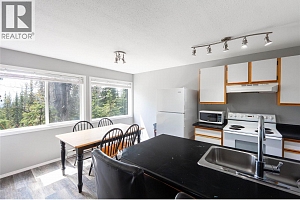 4817 Snowpines Road Unit# C - Photo 8