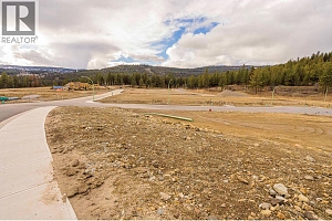 Lot 53 Scenic Ridge Drive - Photo 5