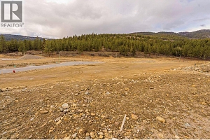 Lot 53 Scenic Ridge Drive - Photo 7