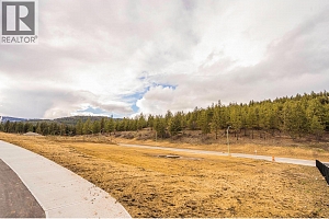 Lot 53 Scenic Ridge Drive - Photo 8