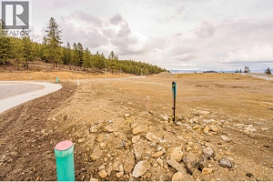 Lot 31 Scenic Ridge Drive - Photo 8