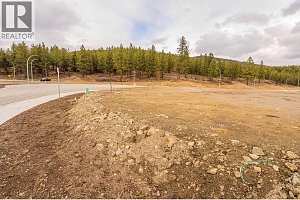 Lot 32 Scenic Ridge Drive - Photo 5