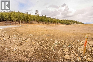 Lot 32 Scenic Ridge Drive - Photo 6