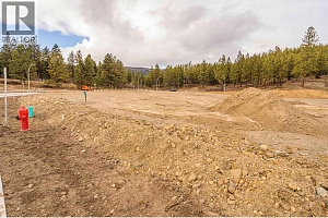 Lot 33 Scenic Ridge Drive - Photo 5