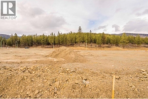 Lot 33 Scenic Ridge Drive - Photo 6