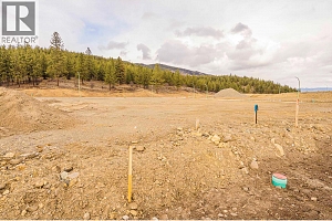 Lot 33 Scenic Ridge Drive - Photo 7