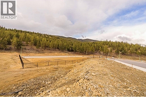 Lot 49 Scenic Ridge Drive - Photo 8
