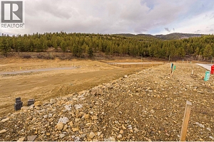 Lot 50 Scenic Ridge Drive - Photo 7