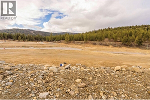 Lot 51 Scenic Ridge Drive - Photo 8